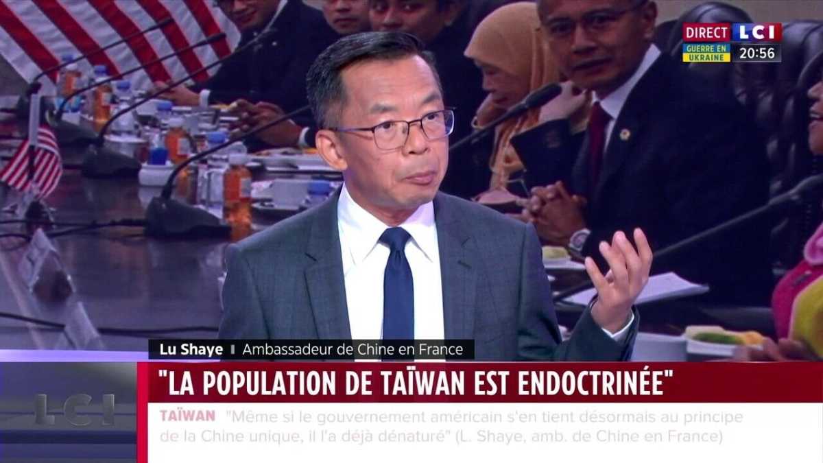 Immagine di Arriva un nuovo lupo a Bruxelles, si chiama Lu Shaye