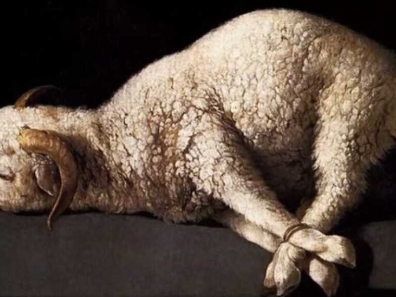 Agnus Dei, Francisco de Zurbaràn
