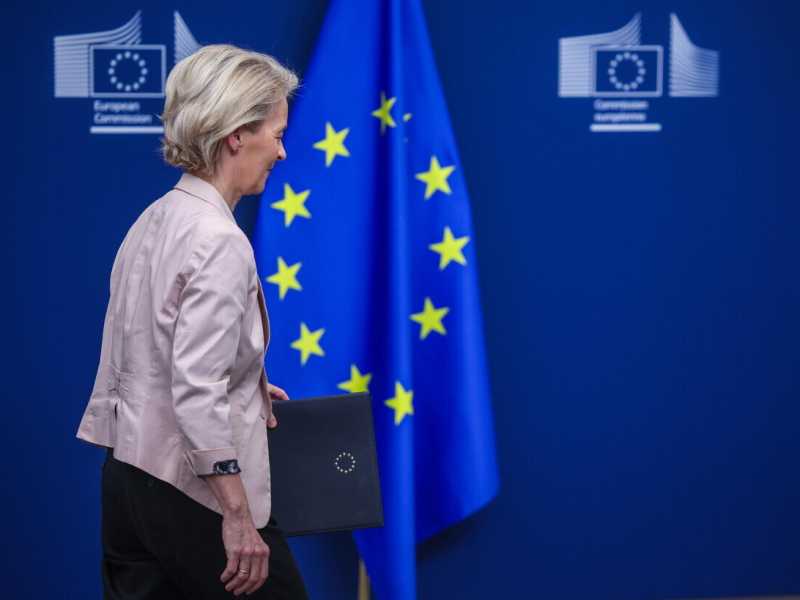 (Ansa)