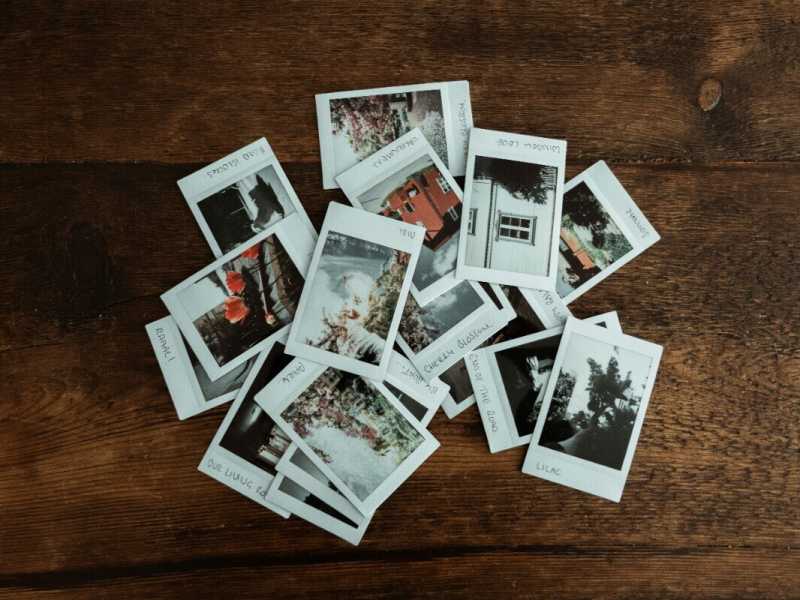 Foto di Annie Spratt su Unsplash&nbsp;<br />
