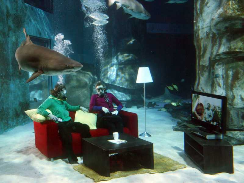 Sky Movies Premier promuove la prima proiezione in assoluto di "Lo Squalo" di Spielberg in HD al London Aquarium (Gareth J Davies/Getty Images)&nbsp;<br />