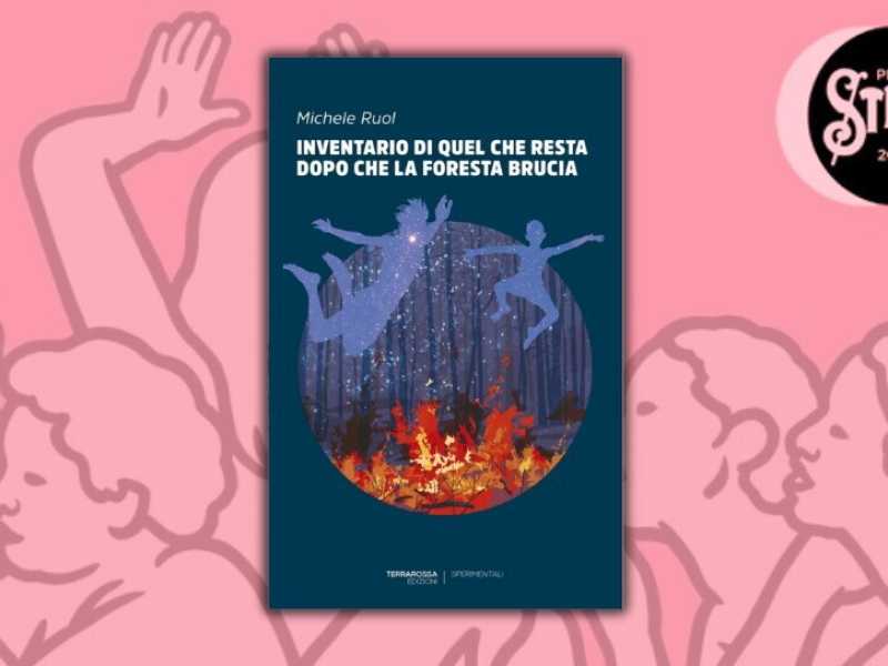 Carotaggio Strega: il romanzo in 99 oggetti di Michele Ruol