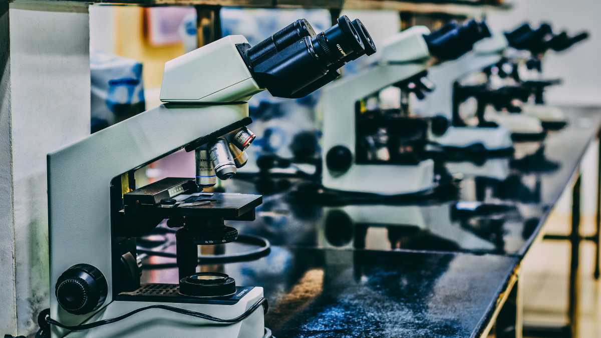 Immagine di Difendere la scienza e la razionalità vuol dire difendere la democrazia