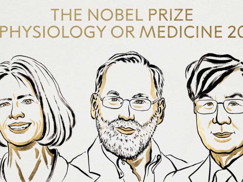 Mary E. Brunkow, Fred Ramsdell e Shimon Sakaguchi hanno vinto il Nobel per la Medicina 2025 <br />