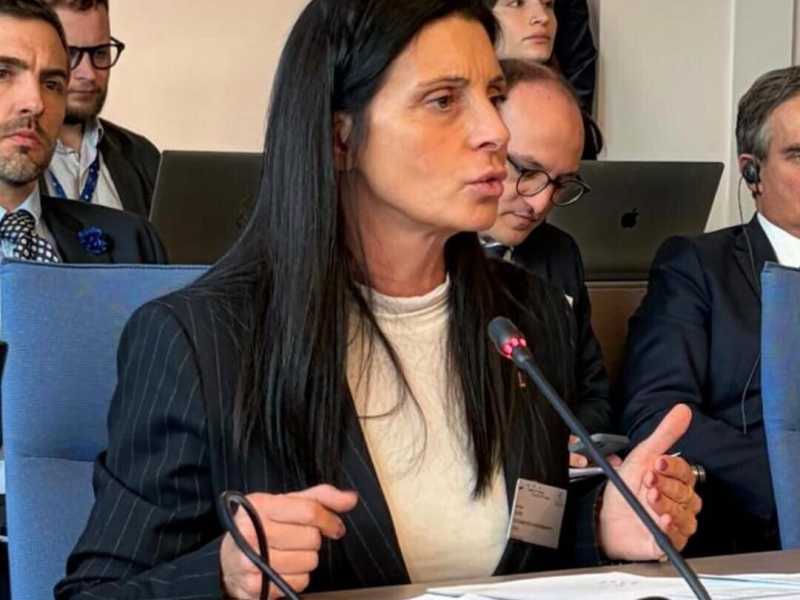 Gava al Consiglio d’Europa: piano da 200 milioni per la Terra dei Fuochi