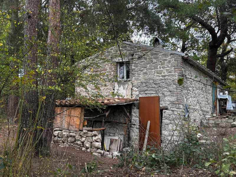 La casa nel bosco a Palmoli dove vivono Nathan Trevallion e Catherine Birmingham (foto Ansa) <br />