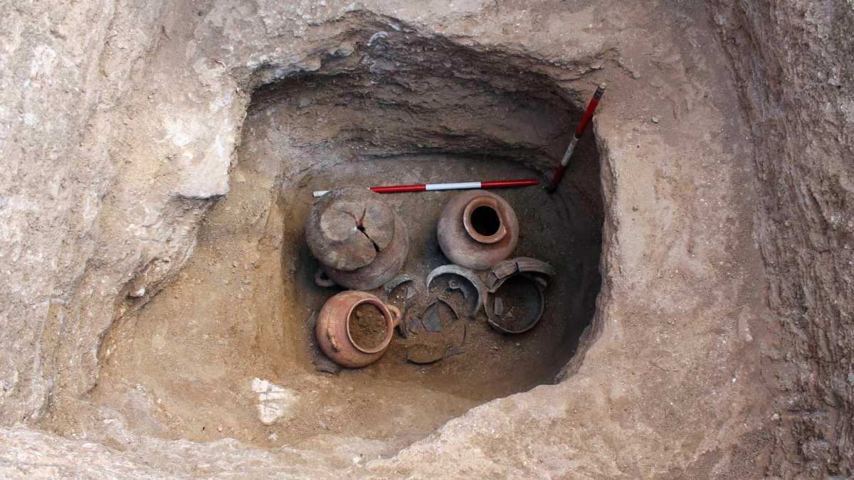 Immagine di Il portafoglio di Tarquinio il Superbo