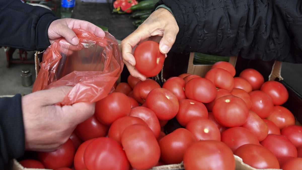 Immagine di Ortomercato e mercati di quartiere, la mano pubblica per il diritto alimentare