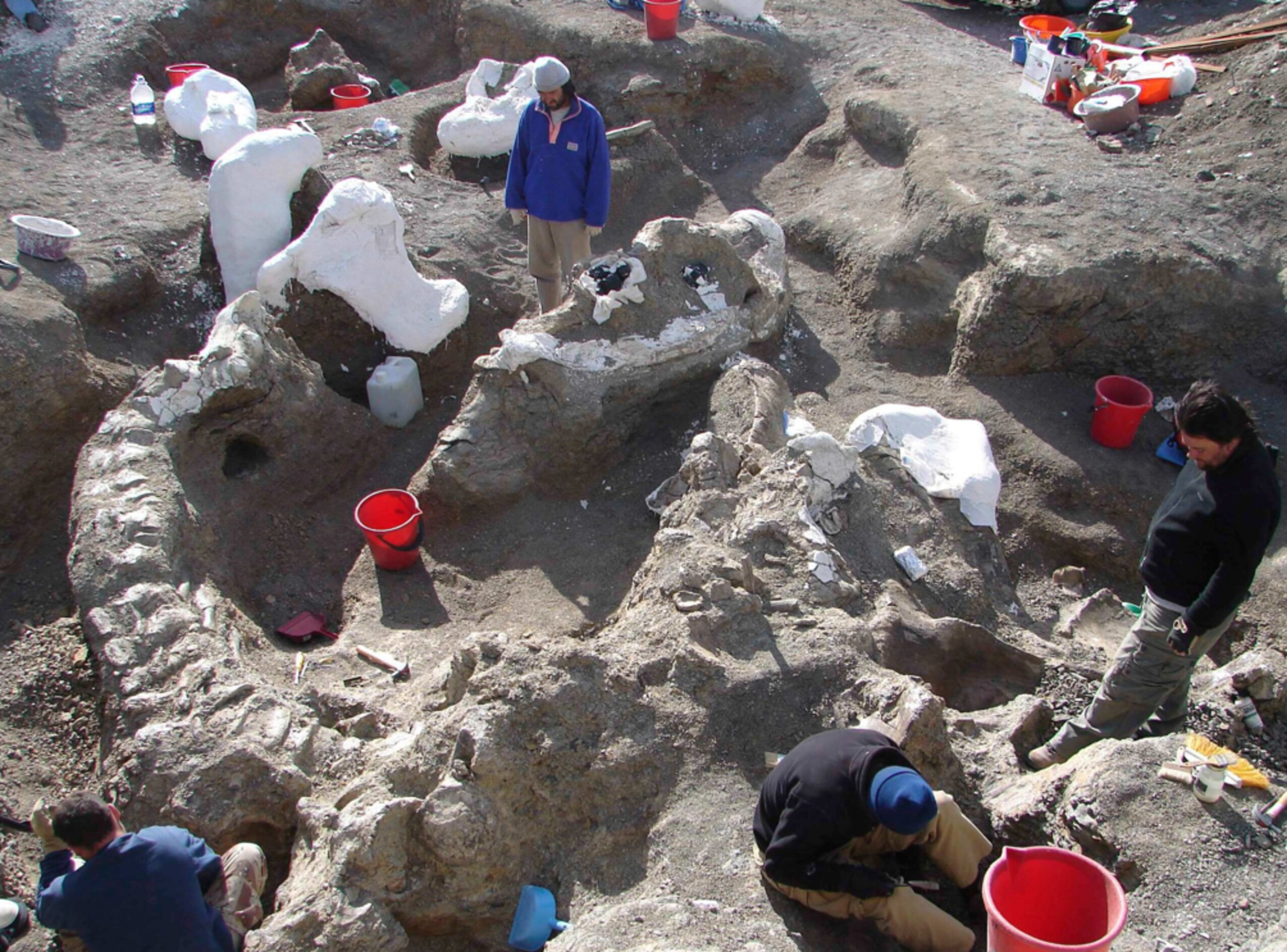 Il ritrovamento dei fossili. Immagine di Kenneth Lacovara/Drexel University, via Reuters