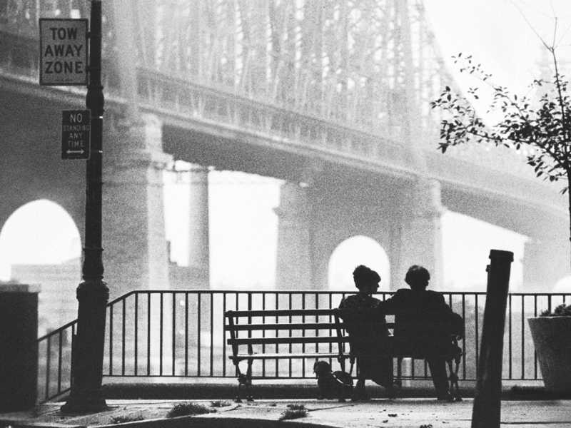 L’isola che non c’è di Woody Allen