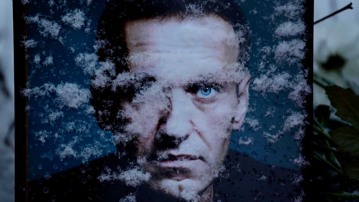 Immagine di Sabato col Foglio un poster di Navalny. Da lasciare alla Biennale
