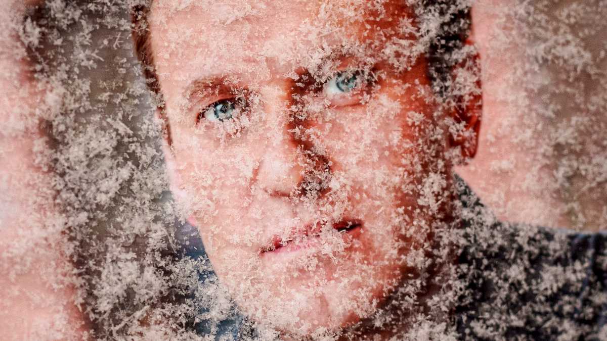 Immagine di Tutti alla Biennale per celebrare il dissenso, col poster di Navalny