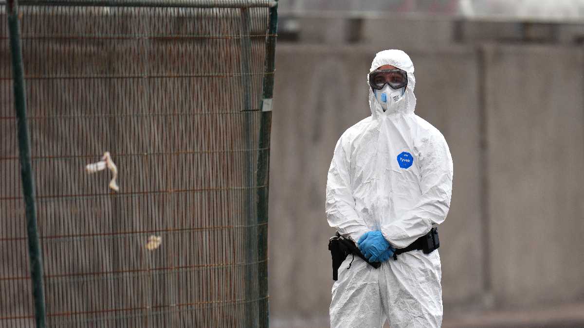 Immagine di L’Italia innalza le misure di prevenzione contro l'Hantavirus. Con un rischio: quello di renderle inapplicabili