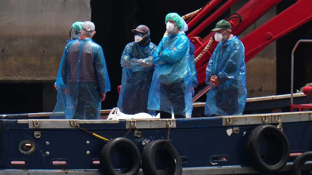 Immagine di L'Hantavirus e la nostalgia da pandemia