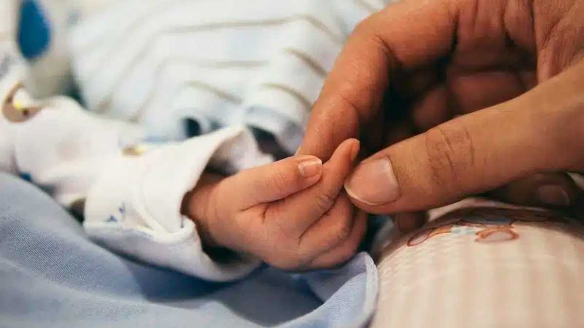 Immagine di Arkansas. La tenace sincerità di una storia personale di fatica, di luce e di vita