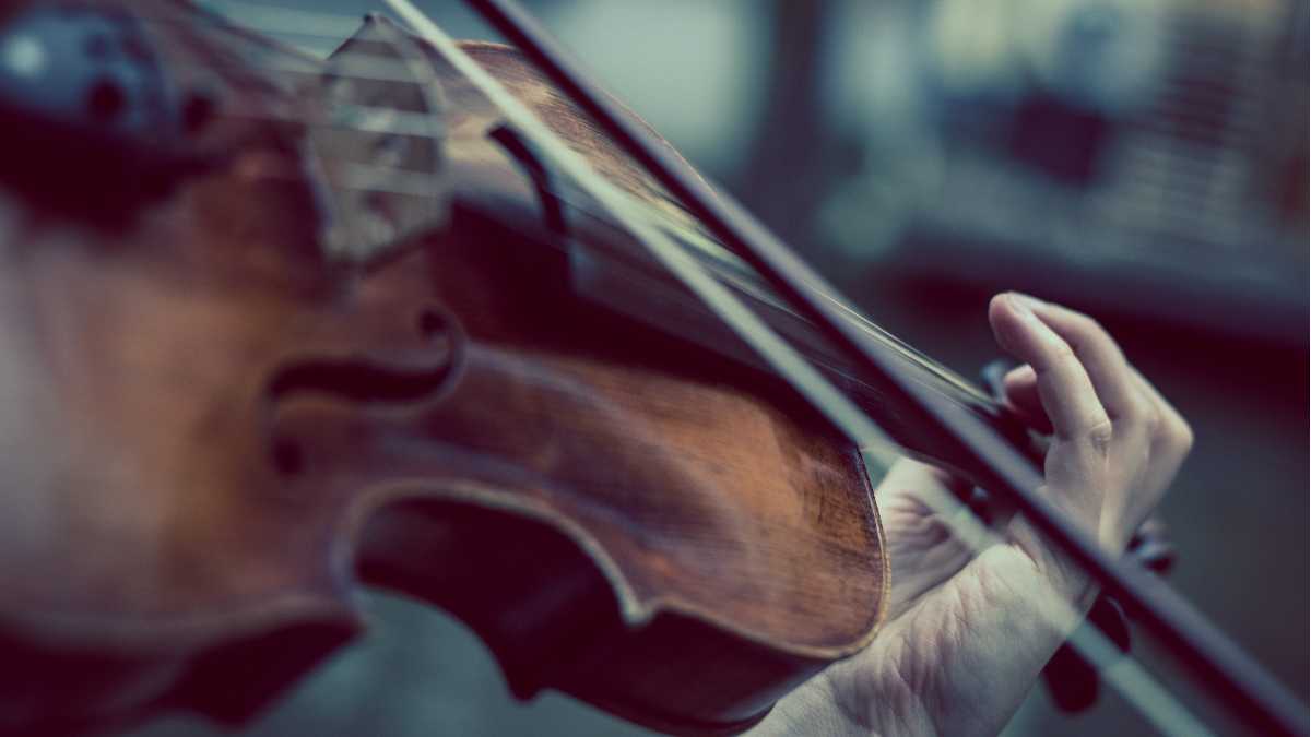 Immagine di Musica e crescita: nasce l’Orchestra Nazionale Universitaria