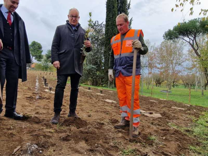 “Mai così tanti alberi a Roma”. Ma quanti sopravvivono?