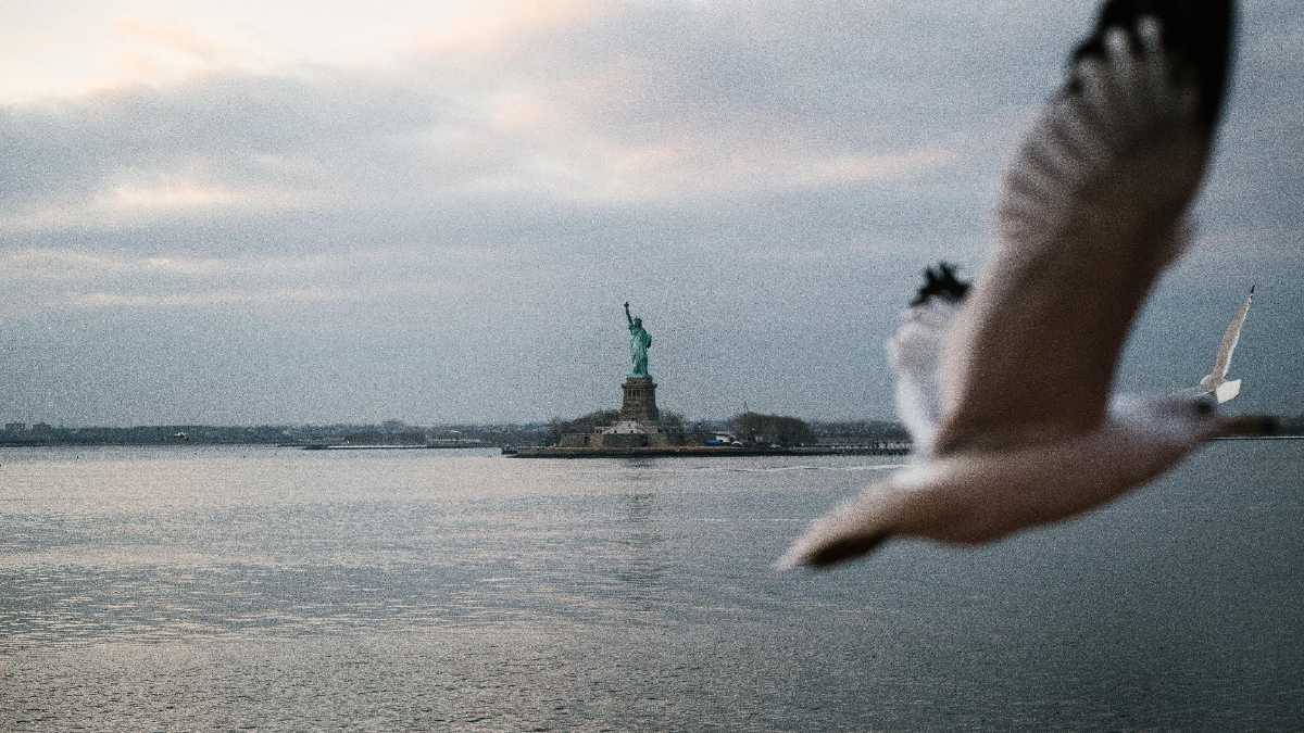 Immagine di L’America nuda e cruda nel libro scanzonato di Dell’Arti