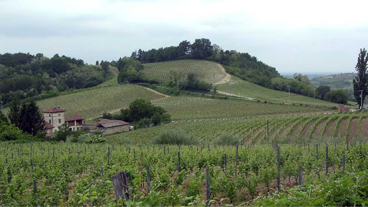 Immagine di Almeno per sbaglio, una cosa buona. Lettera da un incontro ravvicinato