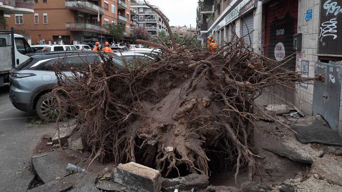 Immagine di C'è stata una tromba d'aria a Roma nord