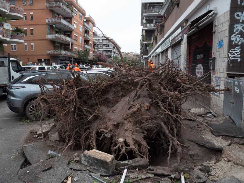 Foto di Carlo Simonelli