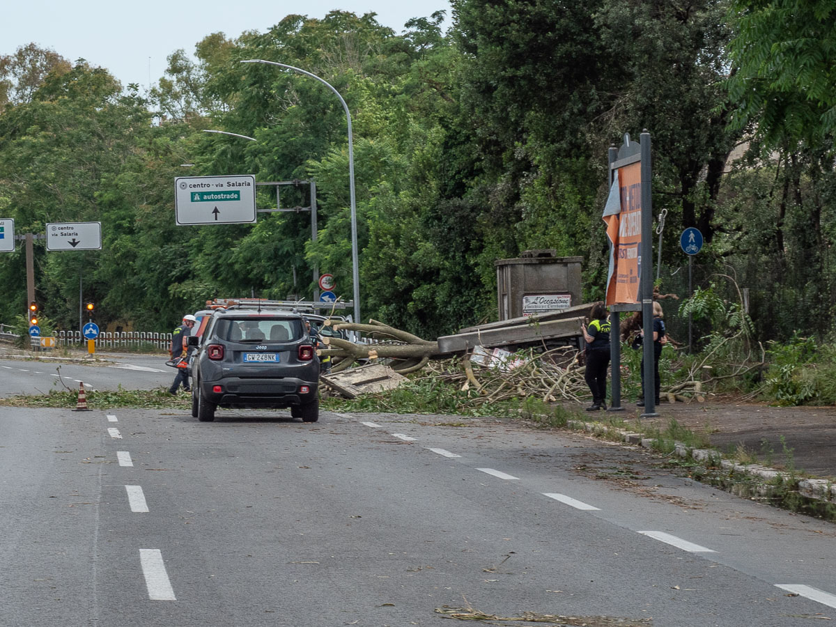 Foto di Carlo Simonelli