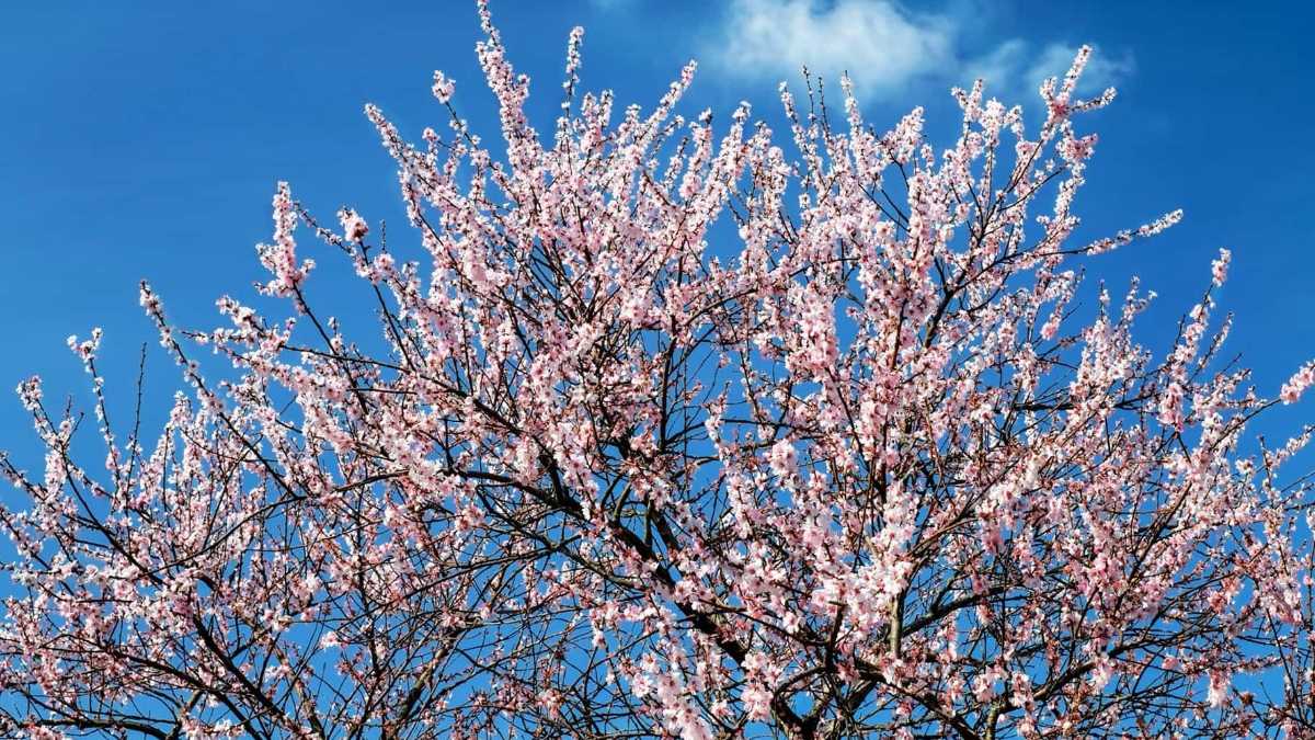 Immagine di Creare ex novo la vita a partire dalla chimica
