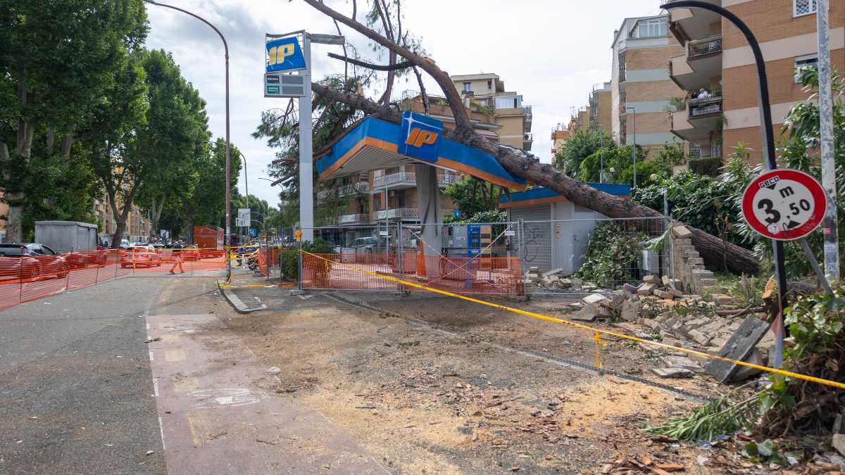Immagine di Gualtieri torna sui luoghi della tromba d'aria: "Chiederemo ristori per i cittadini"