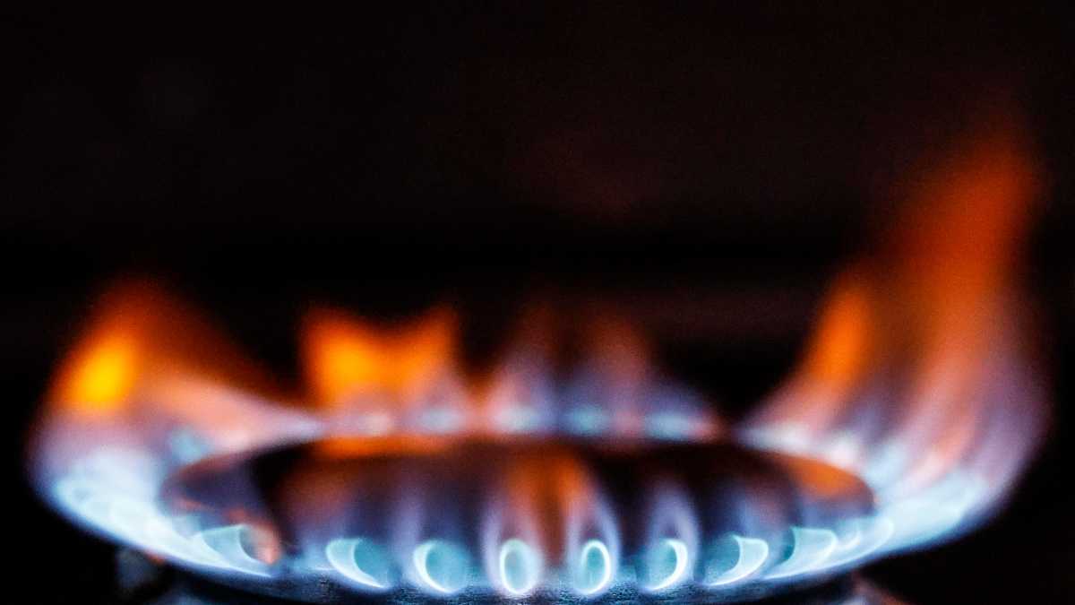 Immagine di L’Europa chiede di ridurre le tasse sull’elettricità, ma per gli ecologisti è un sussidio dannoso