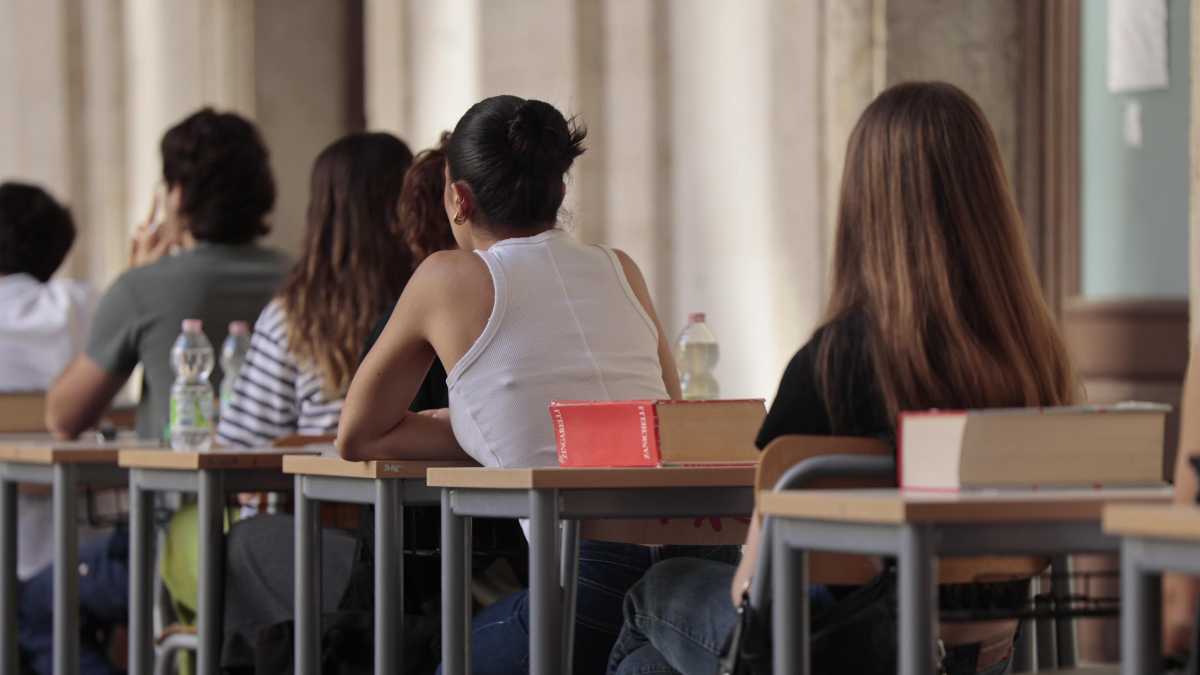 Immagine di Manuale minimo e artificiale delle cose da non fare prima della maturità