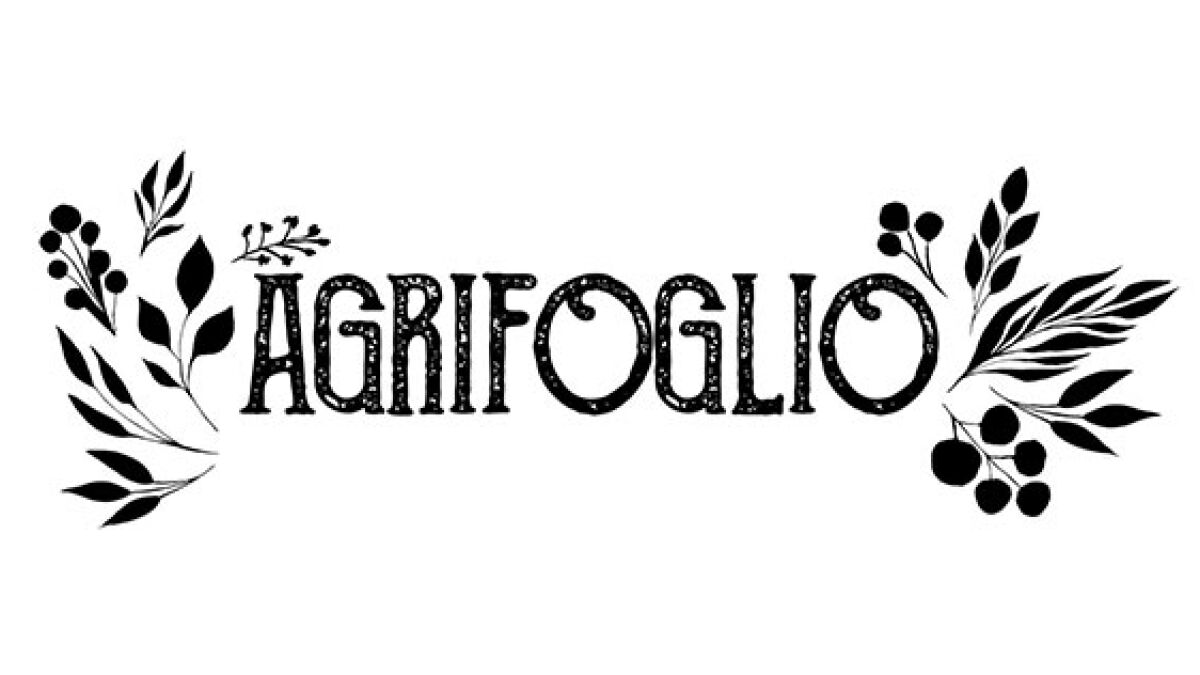 Immagine di Agrifoglio